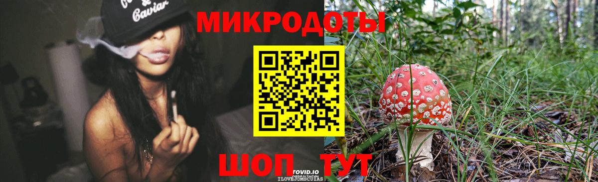 Псилоцибиновые грибы Psilocybine cubensis Малоярославец